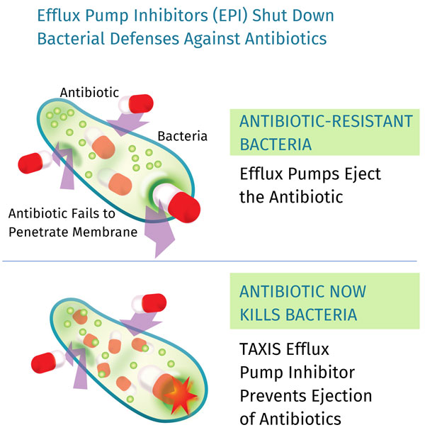 Efflux Pump Inhibitors - how they work schematically