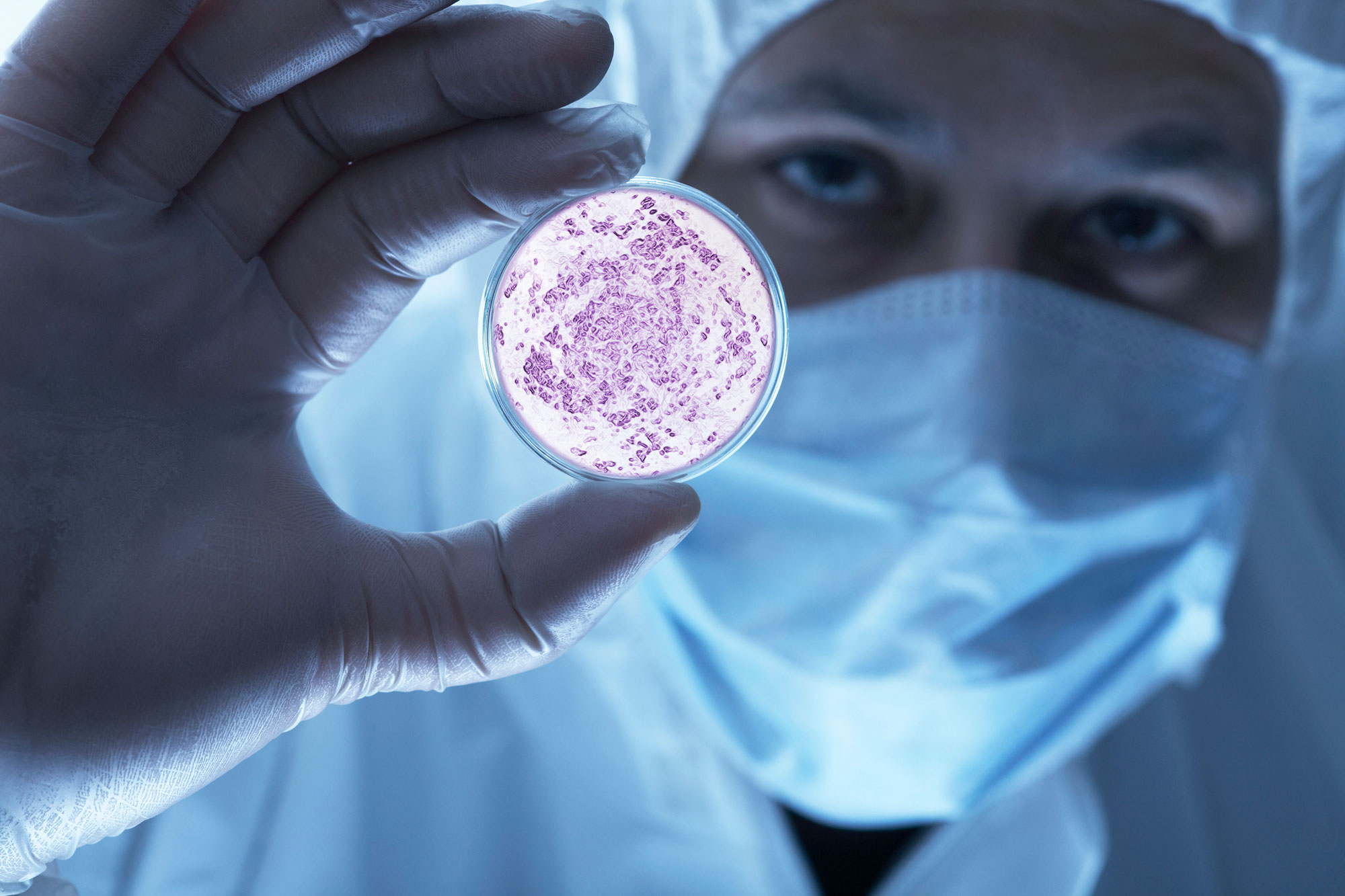 lab tech looking at petri dish