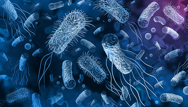 Bacteria outbreak and bacterial infection as a microscopic background